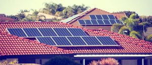 How To Cut Down Electric Bill And Go Green