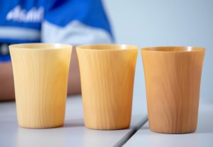 biodegradable cups