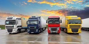 Interstate Freight Transport Services