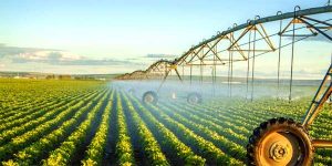 What Is the Main Role of Irrigation