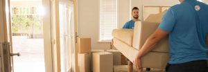 Sutherland Shire removalist services